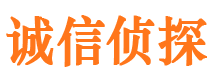 工布江达诚信私家侦探公司